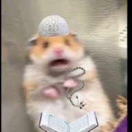 SHEIKHWIZARD