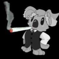 MrKoala