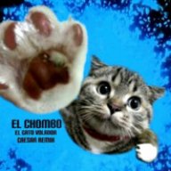 catereredition