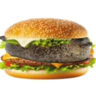seal_borgor