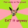 Gaest