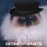 Catswithtophats