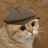 Ye olde Baker Cat