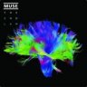 muse