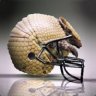 Armadildololz