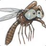The Mosquito!