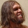 Caveman