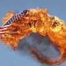 xXFreedomCatXx
