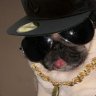 Pugz