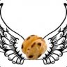 Ibeliveincanfly