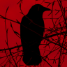 raVen52