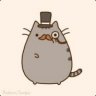Jimmy The Cat