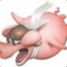-Flying Pigs- Blbec