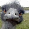 ~Hi~ I3UR5T
