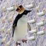 ☁TML☁PenguinLord
