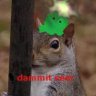 The Pyro Squirrel
