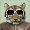 Tigerr