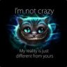 (я4єvєя)CrazyGamer4You