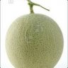 Honeydewd