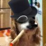 Dr. Spoonman