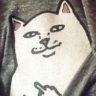 Toast Mama