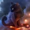 Mr.Cat