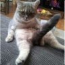 LeeToucanSam