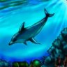 Dolphin 2