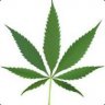 Mantas | Keys 2.1$ for oneLT