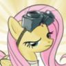 Pony