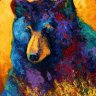 Jor-bear