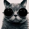 selling lol acc (EU)