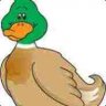 Little Duck