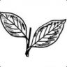 hari