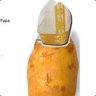 Popetato_