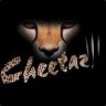 cheetaz