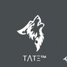 T⋀TΞ™