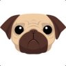 pugg