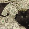 Sir Profit