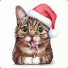 cc.Feline