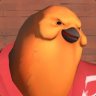 Bird-Heavy