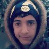 the_wolf