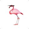 Flamboyant Flamingo