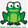 chandandubey
