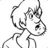 Shaggy