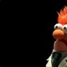 Storken