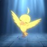 DUCKyR
