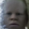 Brimp