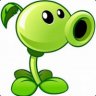 CasualPlant