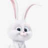 Bunny Level Up
